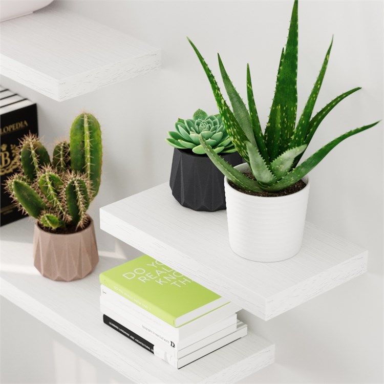 Mensole in legno in Mensole