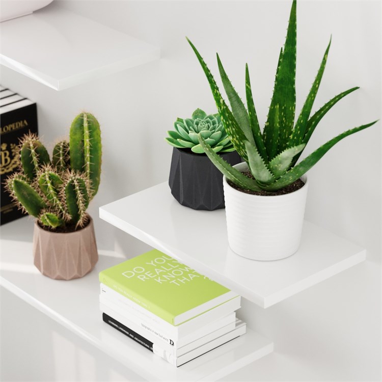 Wooden shelves in Mensole