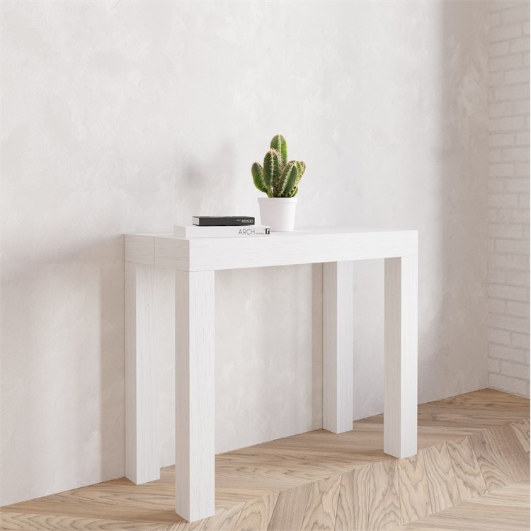 Extensible console Nettuno in Consolle