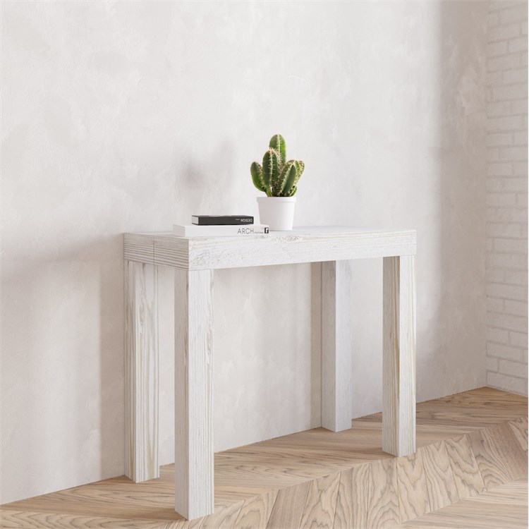 Extensible console Nettuno in Consolle