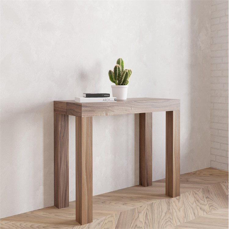 Extensible console Nettuno in Consolle