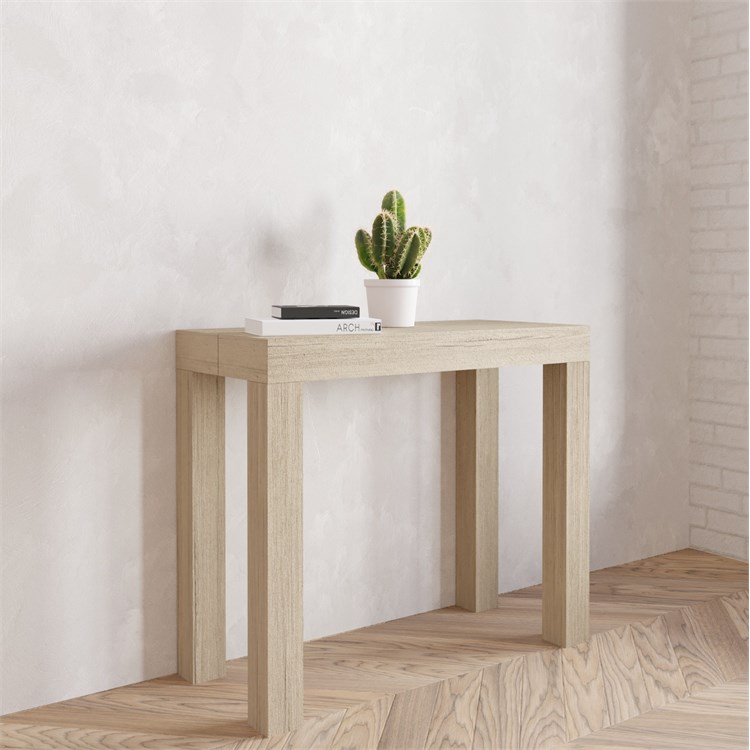 Extensible console Nettuno in Consolle